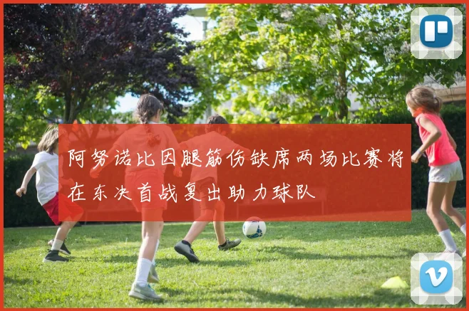 阿努诺比因腿筋伤缺席两场比赛将在东决首战复出助力球队