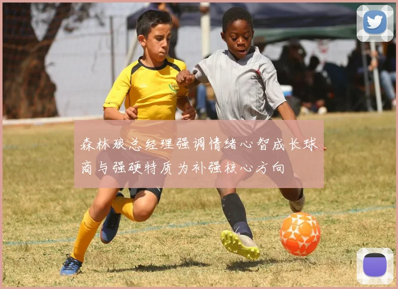 森林狼总经理强调情绪心智成长球商与强硬特质为补强核心方向