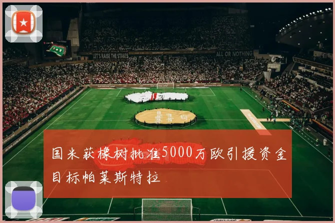 国米获橡树批准5000万欧引援资金目标帕莱斯特拉